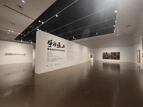 聯(lián)動(dòng)共創(chuàng) 以藝術(shù)展覽為紐帶，構(gòu)建新時(shí)代社會(huì)美育新生態(tài)