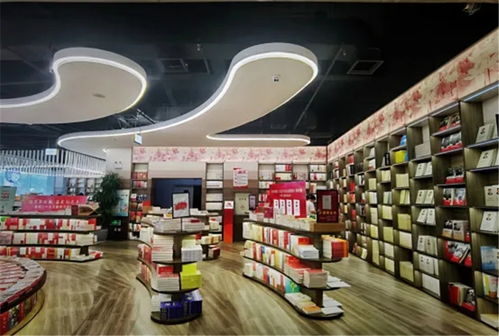 河北2家書店榮膺全國(guó)“年度最美書店”，文化藝術(shù)咨詢服務(wù)賦能閱讀新體驗(yàn)